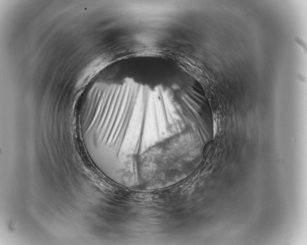 X0000095540339200712281549