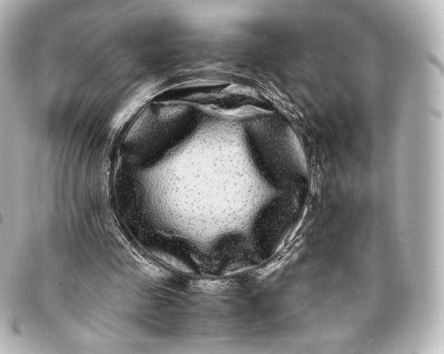 X0000095540341200712281549