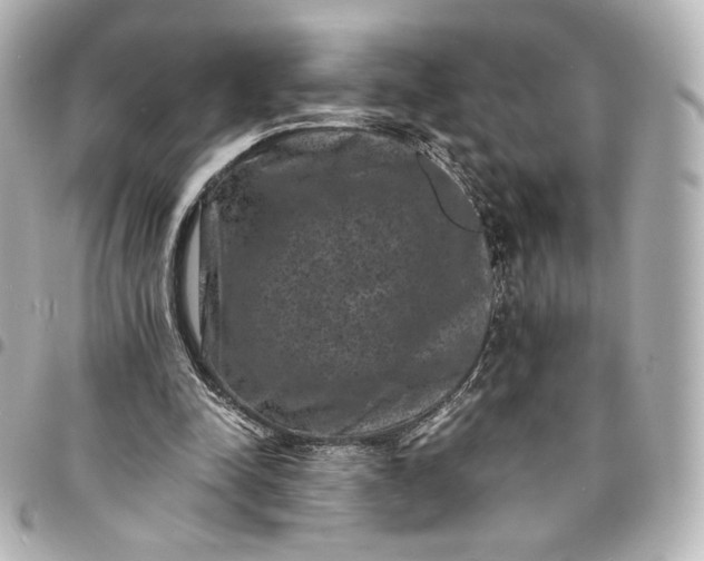 X0000095540342200712281549