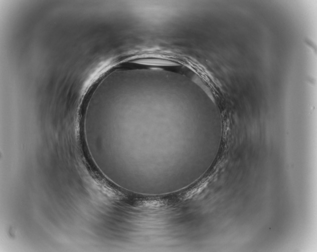 X0000095540344200712281549