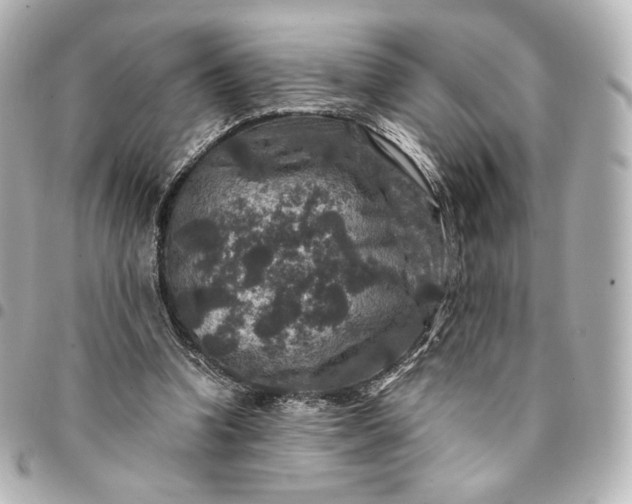 X0000095540346200712281549