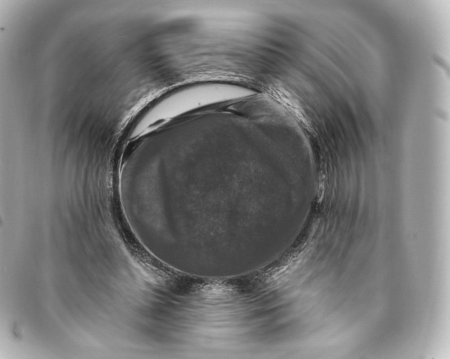 X0000095540348200712281549