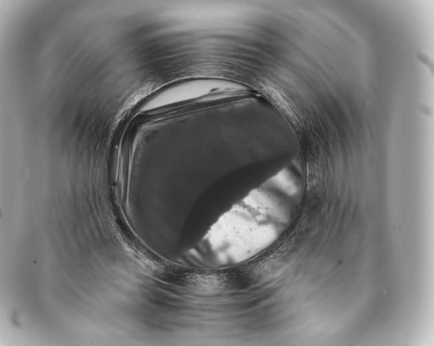 X0000095540349200712281549