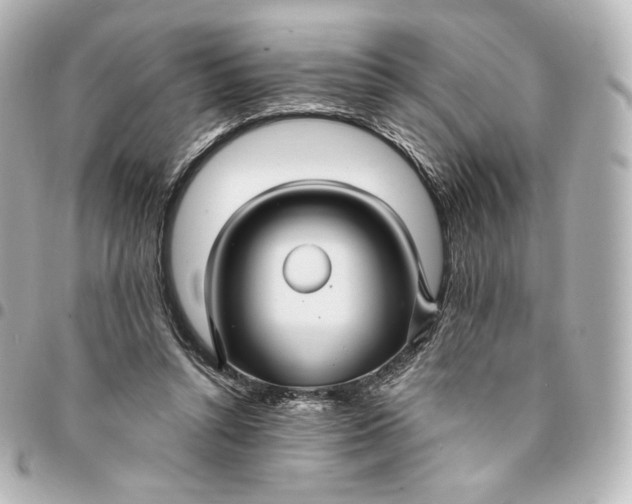 X0000095540352200712281549