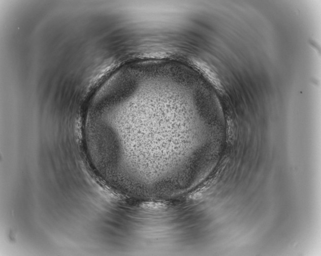 X0000095540354200712281549