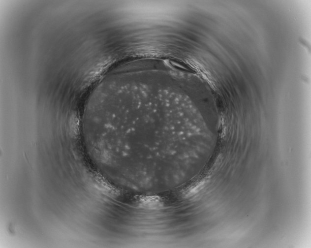 X0000095540355200712281549