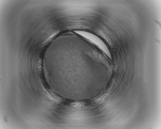 X0000095540356200712281549