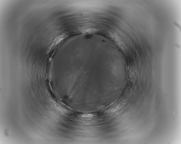 X0000095540357200712281549