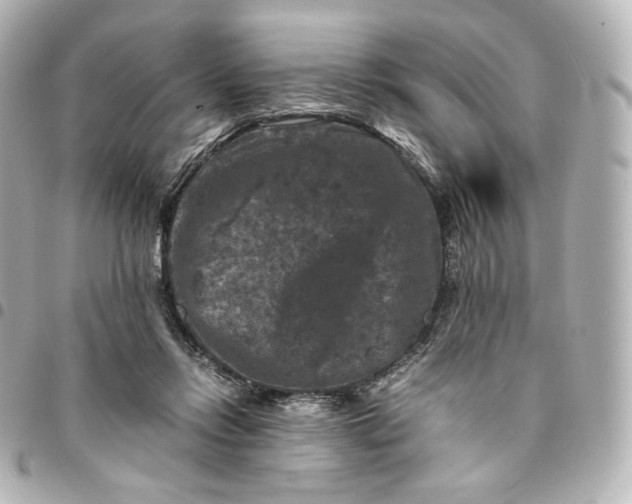 X0000095540358200712281549