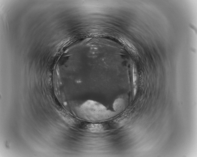 X0000095540361200712281549