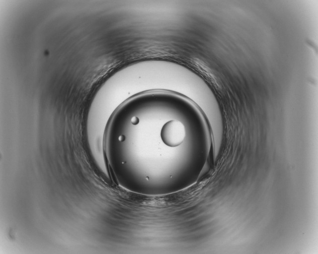 X0000095540362200712281549