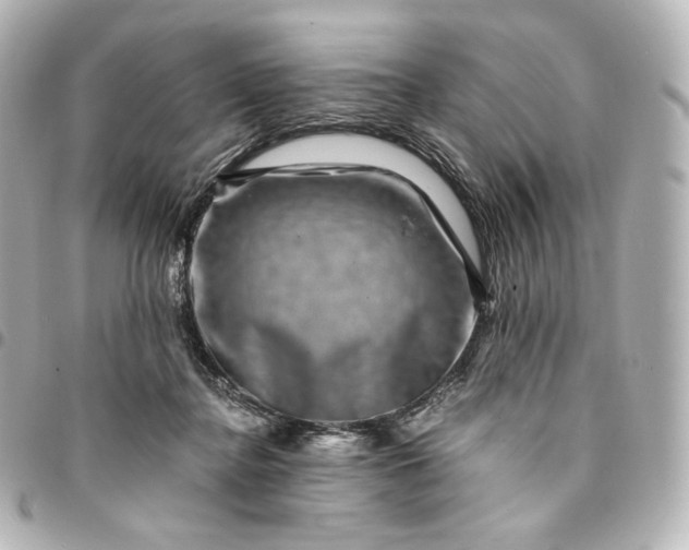 X0000095540364200712281549