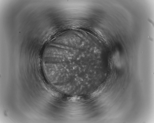 X0000095540366200712281549