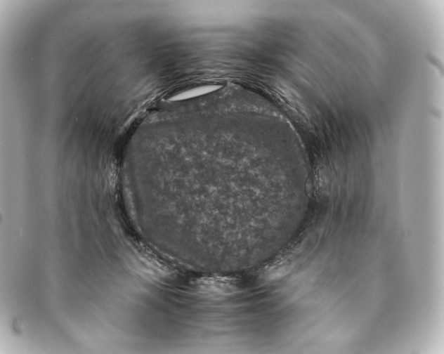 X0000095540367200712281549