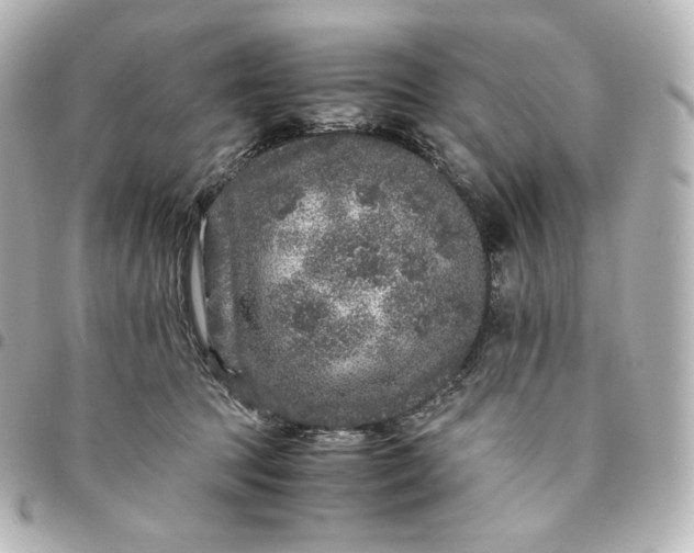 X0000095540369200712281549