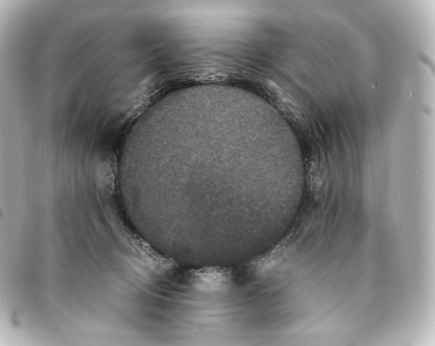 X0000095540370200712281549