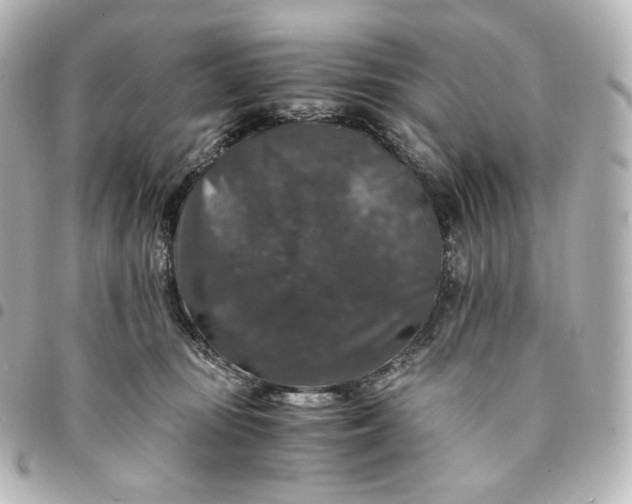 X0000095540371200712281549