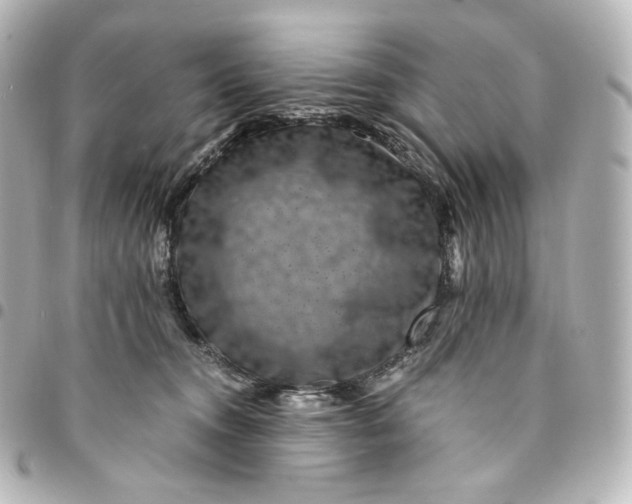 X0000095540372200712281549