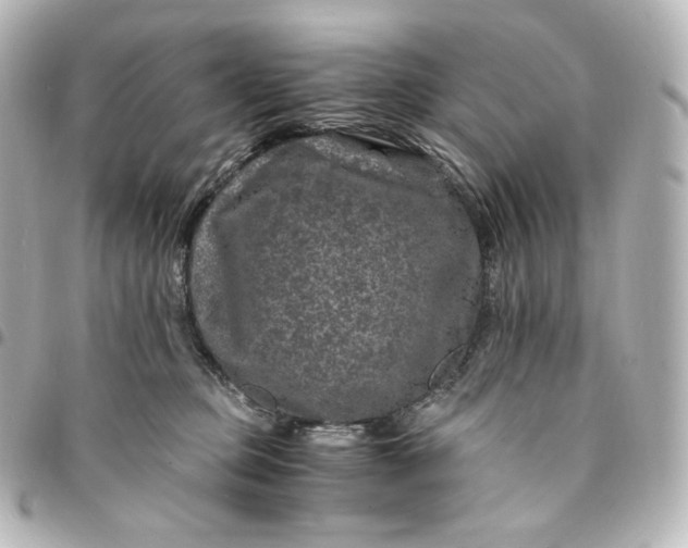 X0000095540373200712281549