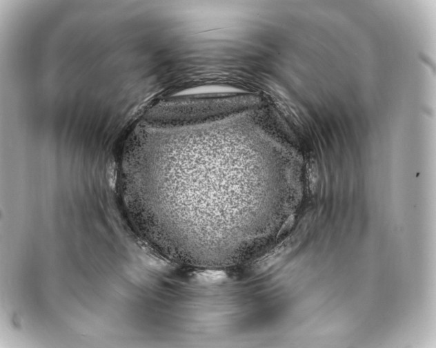 X0000095540374200712281549