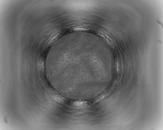 X0000095540375200712281549