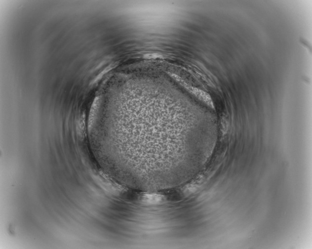 X0000095540376200712281549