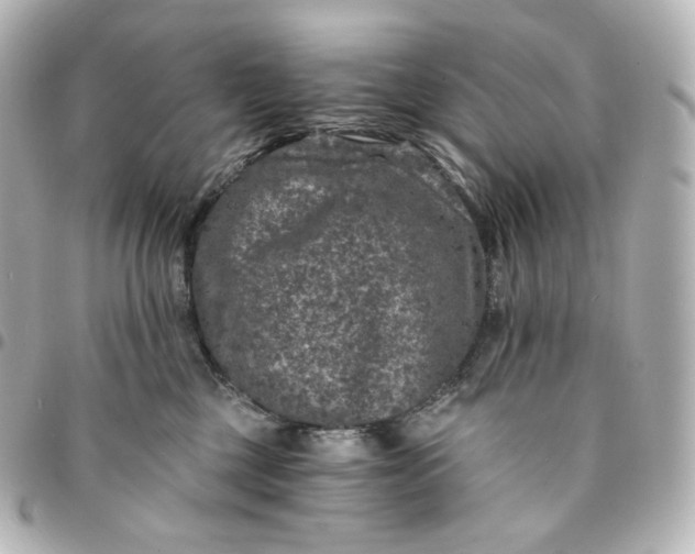 X0000095540377200712281549