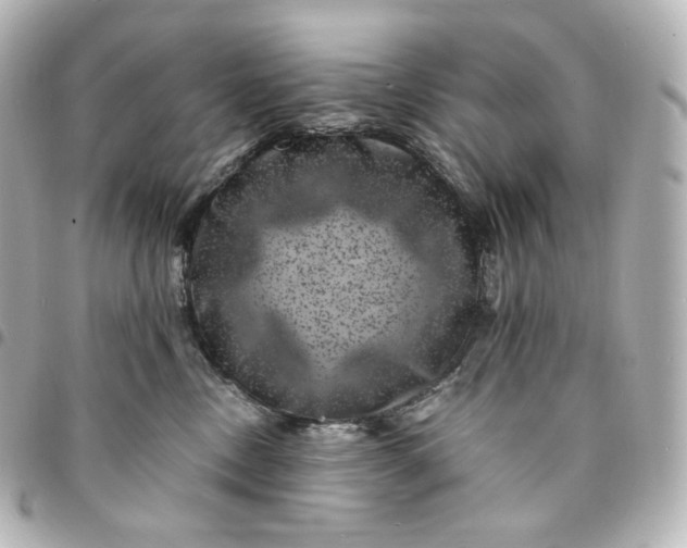 X0000095540378200712281549