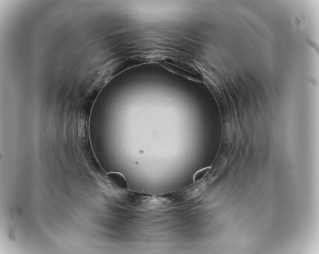 X0000095540379200712281549