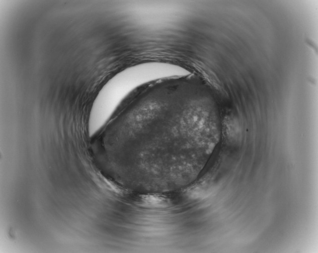 X0000095540380200712281550