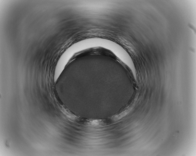 X0000095540382200712281550