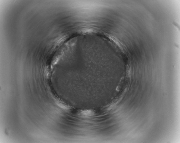 X0000095540383200712281550