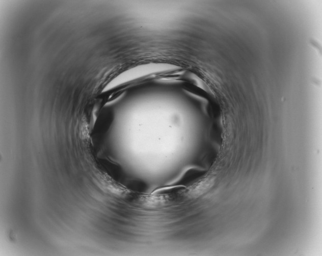 X0000095540384200712281550