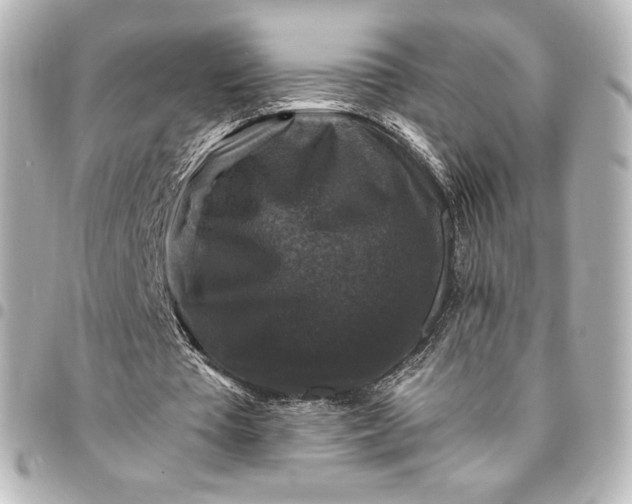 X0000095540385200712281549