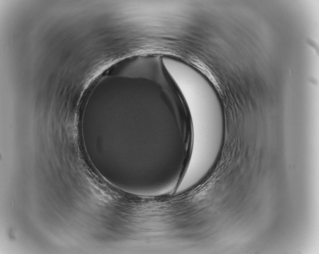 X0000095540387200712281549