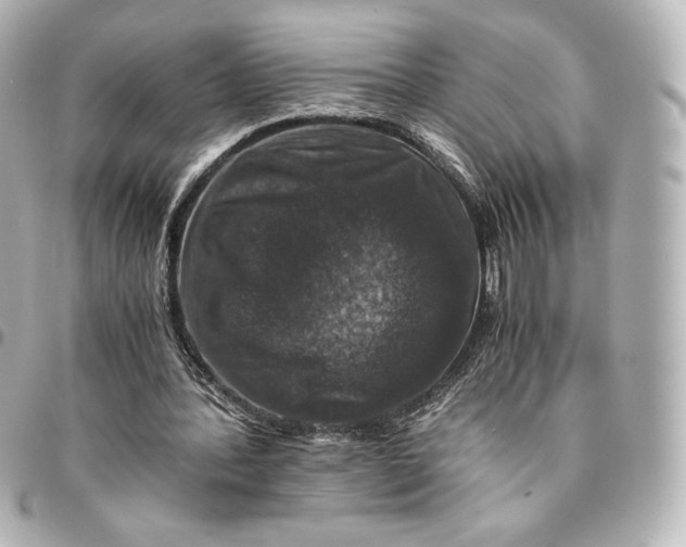 X0000095540388200712281549