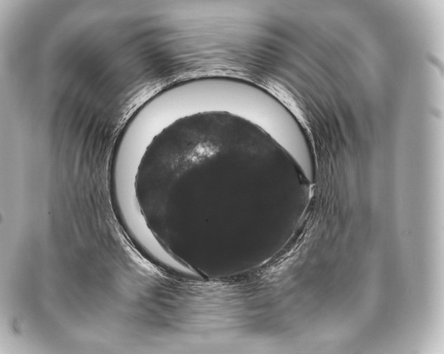 X0000095540389200712281549