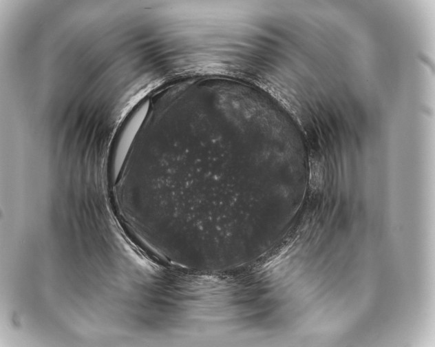 X0000095540390200712281549