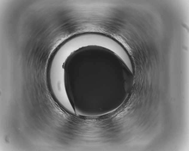 X0000095540391200712281549