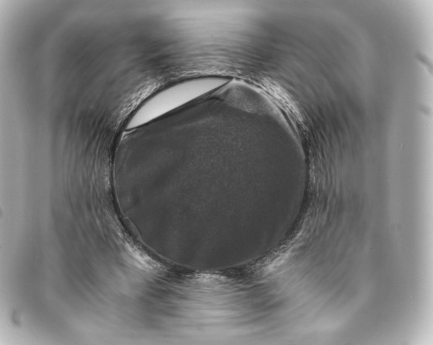 X0000095540393200712281549