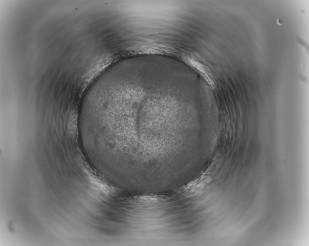 X0000095540394200712281549