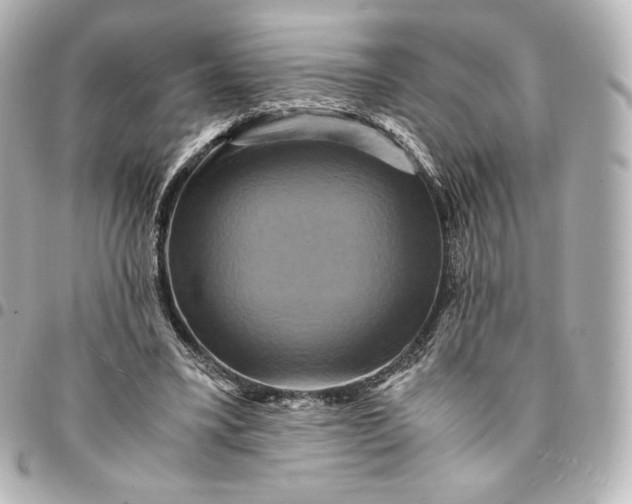 X0000095540395200712281549