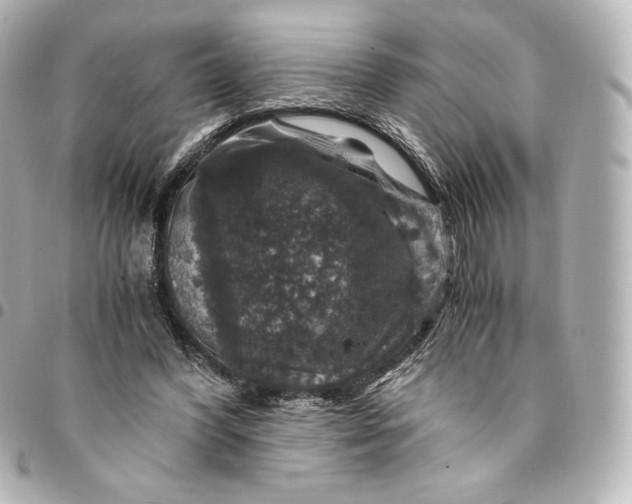 X0000095540396200712281549