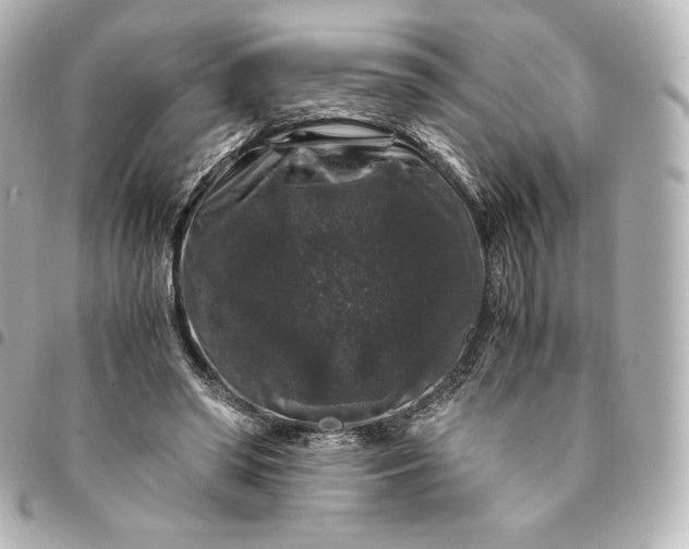 X0000095540398200712281549