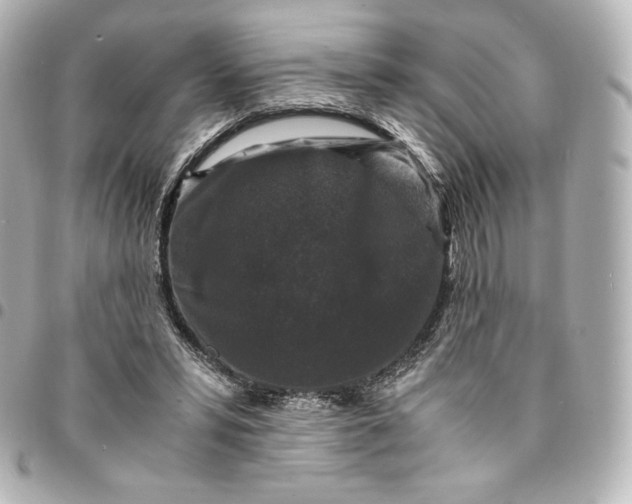 X0000095540399200712281549