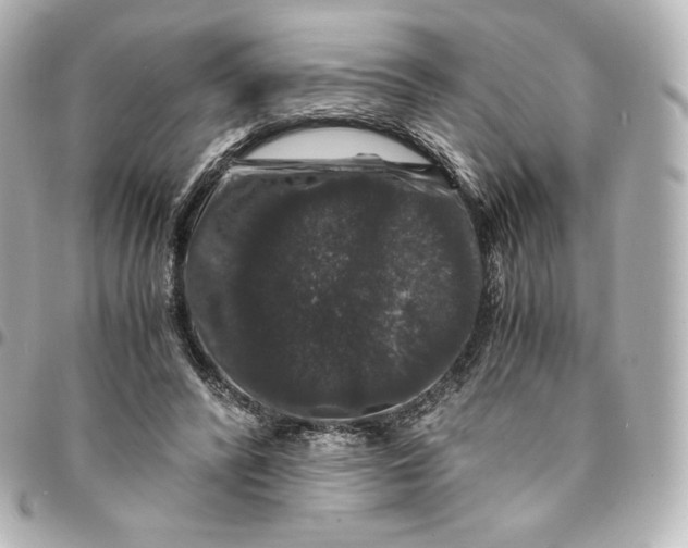 X0000095540400200712281549