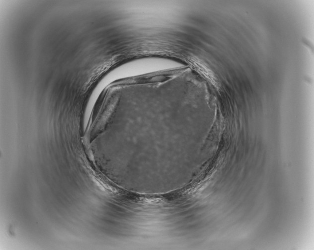 X0000095540401200712281549