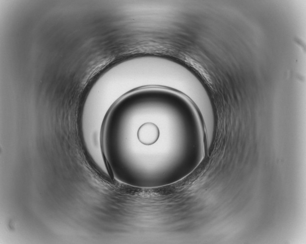 X0000095540403200712281549