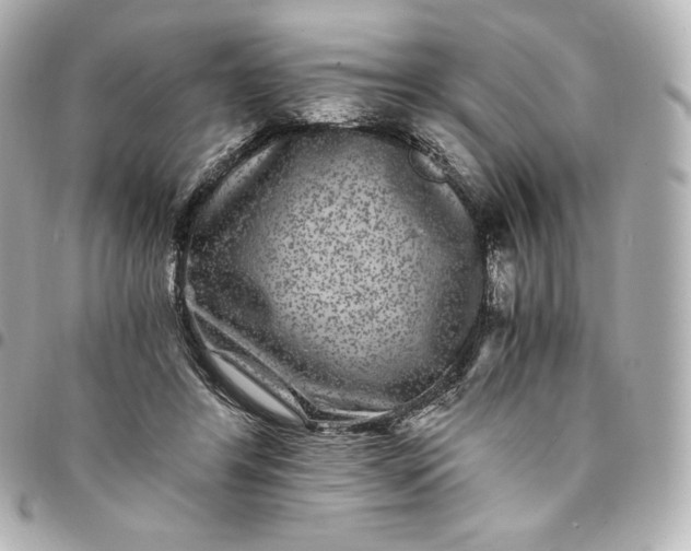 X0000095540404200712281549