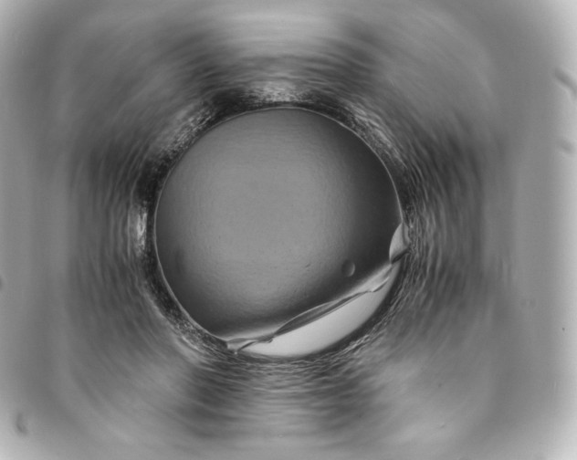 X0000095540406200712281549